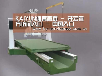 产品名称九
