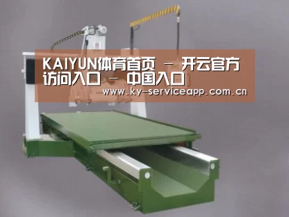 产品名称十