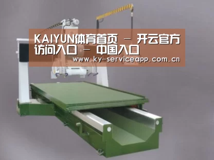 产品名称十