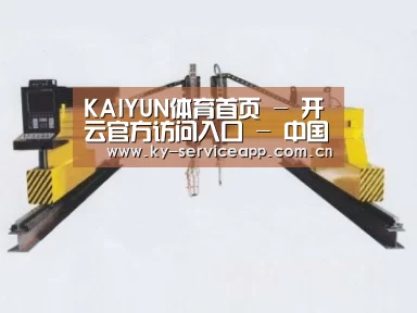 产品名称十七