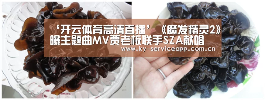 ‘开云体育高清直播’《魔发精灵2》曝主题曲MV贾老板联手SZA献唱(图1) 开云体育平台服务