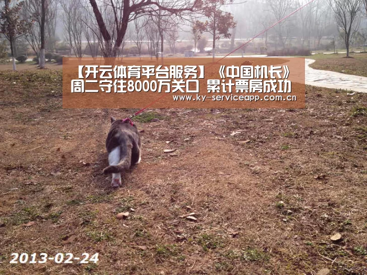 【开云体育平台服务】《中国机长》周二守住8000万关口 累计票房成功突破20亿(图1) 开云体育官方