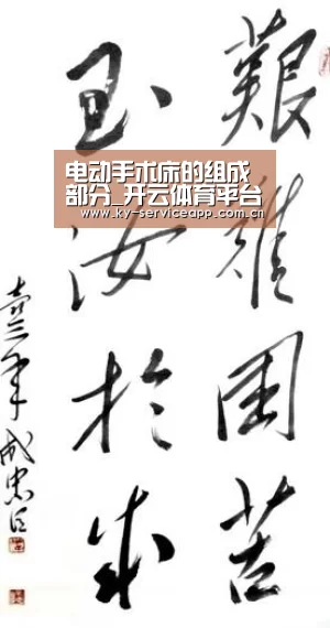 开云体育高清直播