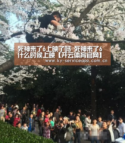 死神来了6上映了吗 死神来了6什么时候上映【开云体育官网】(图2) 开云体育官网