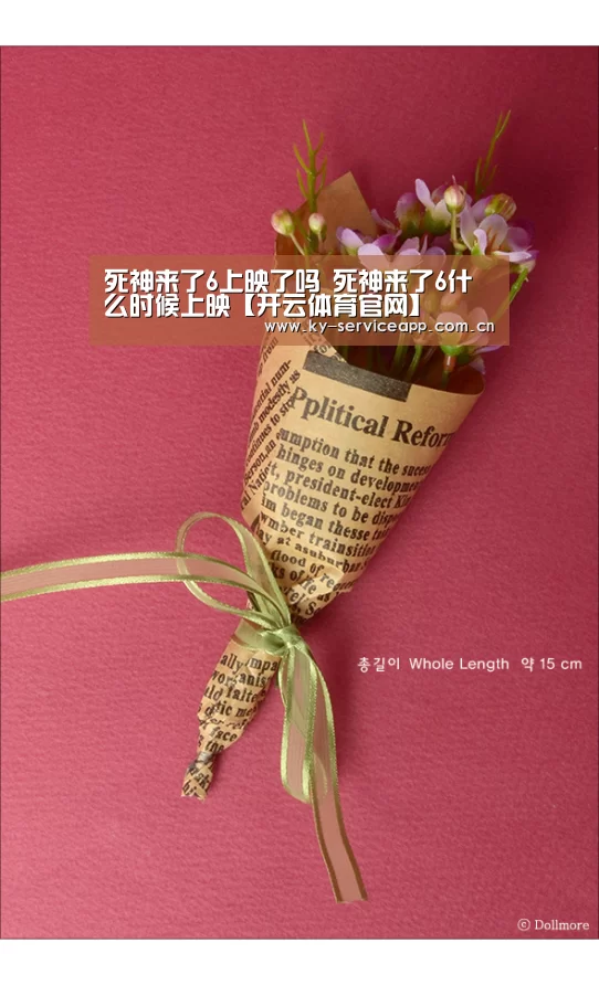 死神来了6上映了吗 死神来了6什么时候上映【开云体育官网】(图3) 开云登录