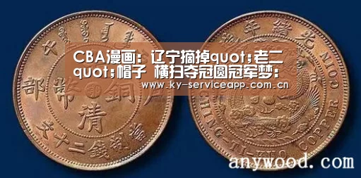CBA漫画:辽宁摘掉quot;老二quot;帽子 横扫夺冠圆冠军梦:开云体育高清直播(图3) 开云体育平台服务