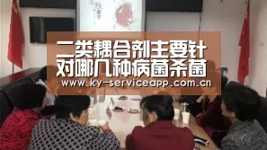 二类耦合剂主要针对哪几种病菌杀菌?“开云体育平台服务”(图2) 开云登录