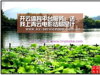 开云体育平台服务：送我上青云电影结局是什么 女主盛男身世经历揪心结局和解