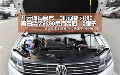 开云体育官方_《银河补习班》首日票房6200余万夺冠 《狮子王》累计票房将超《美女与野兽》(图3) 开云体育高清直播