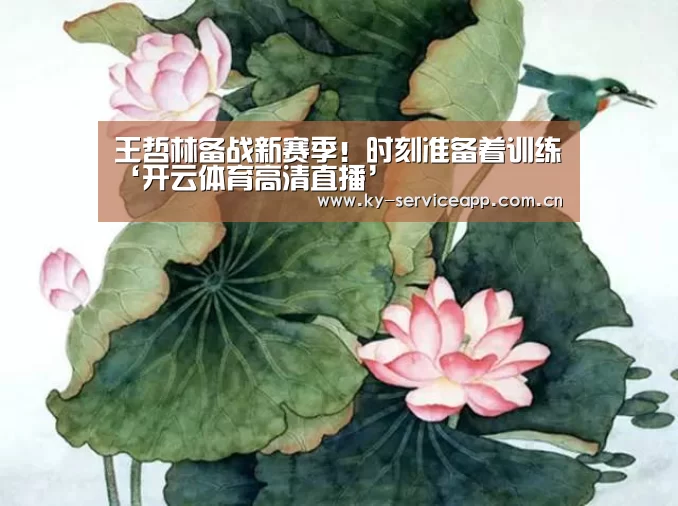 开云体育官方