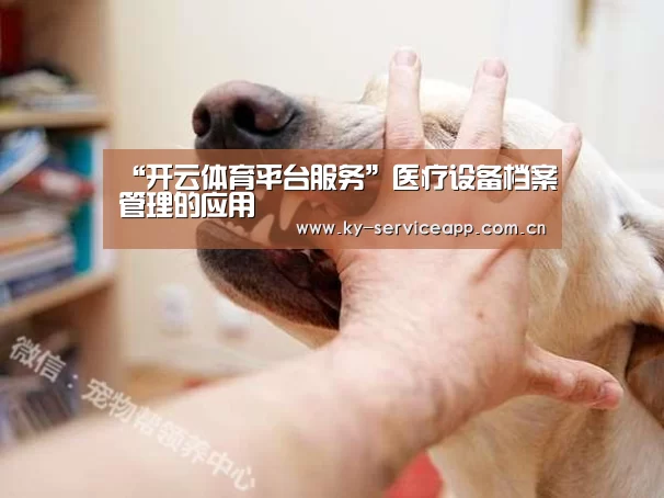 “开云体育平台服务”医疗设备档案管理的应用(图1) 开云体育平台服务