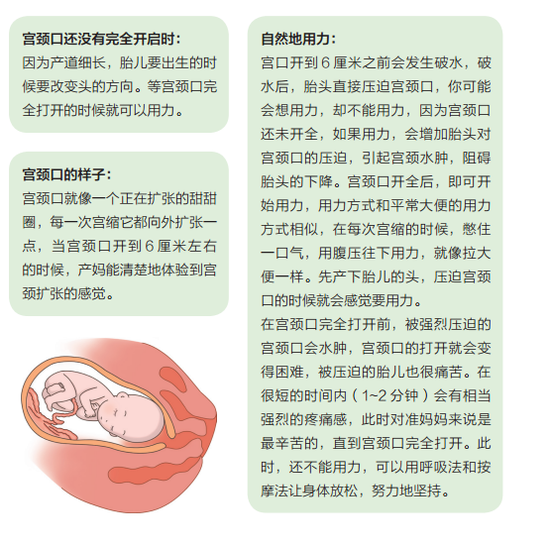 姜文《邪不压正》“先生们”海报预告齐发 彭于晏廖凡空降南京开启全国狂欢_开云体育平台服务(图3) 开云体育平台服务