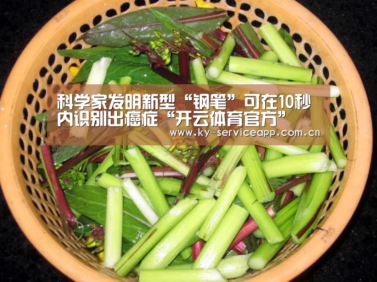 科学家发明新型“钢笔”可在10秒内识别出癌症“开云体育官方”(图1) 开云体育官网
