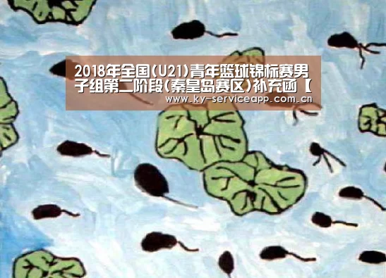 开云登录