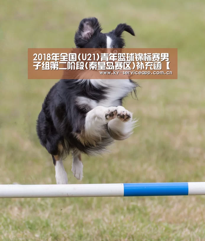 开云体育平台服务