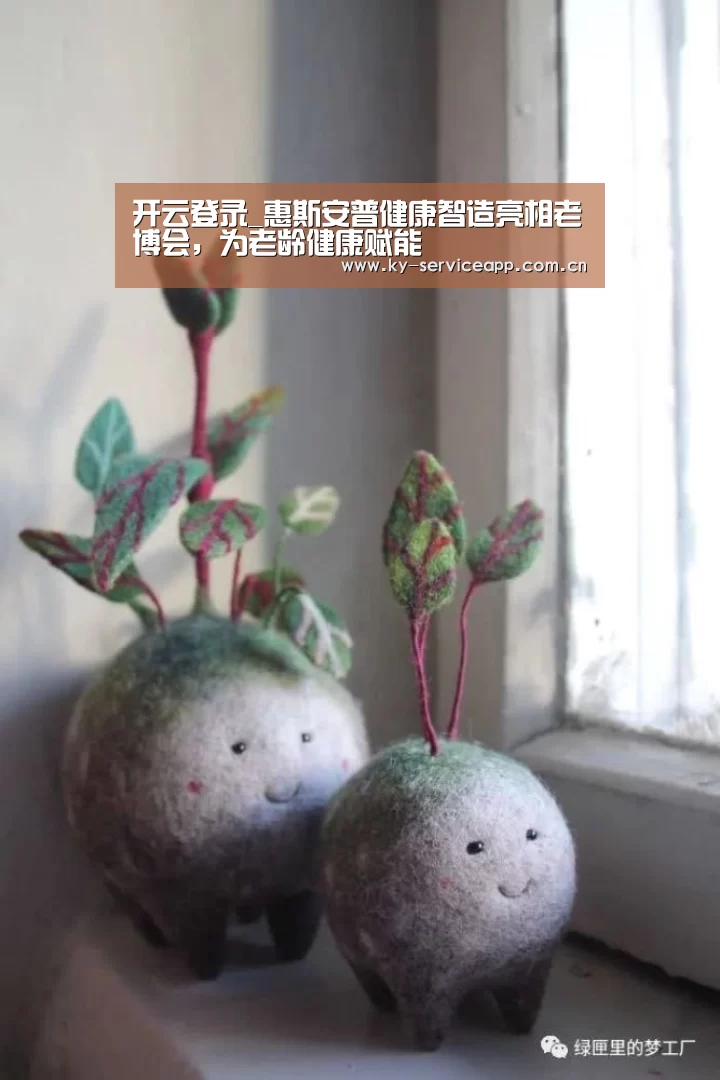 开云登录